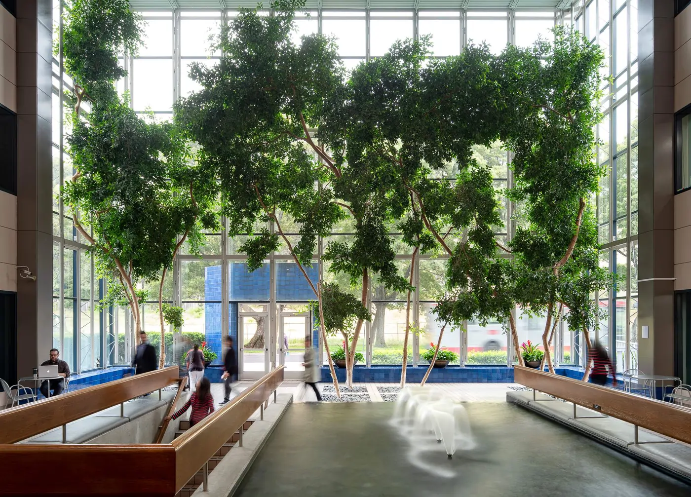 Atrium with trees and water feature